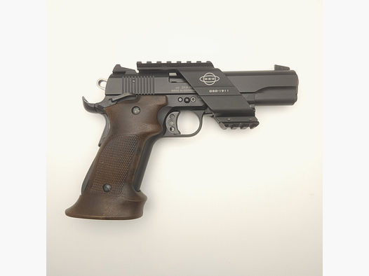 GSG 1911 Target