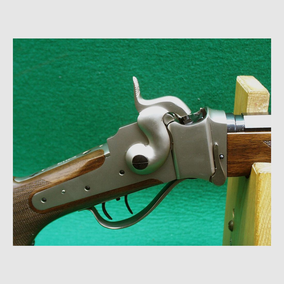 Competencia Sharps Saguaro de Pedersoli 34"