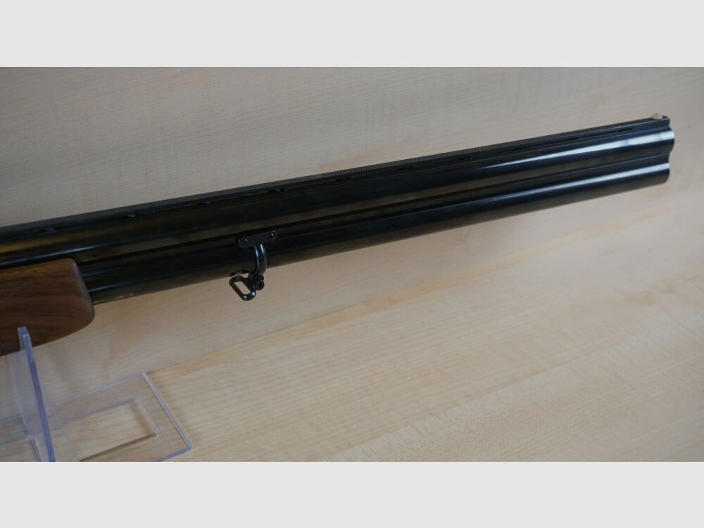Rizzini