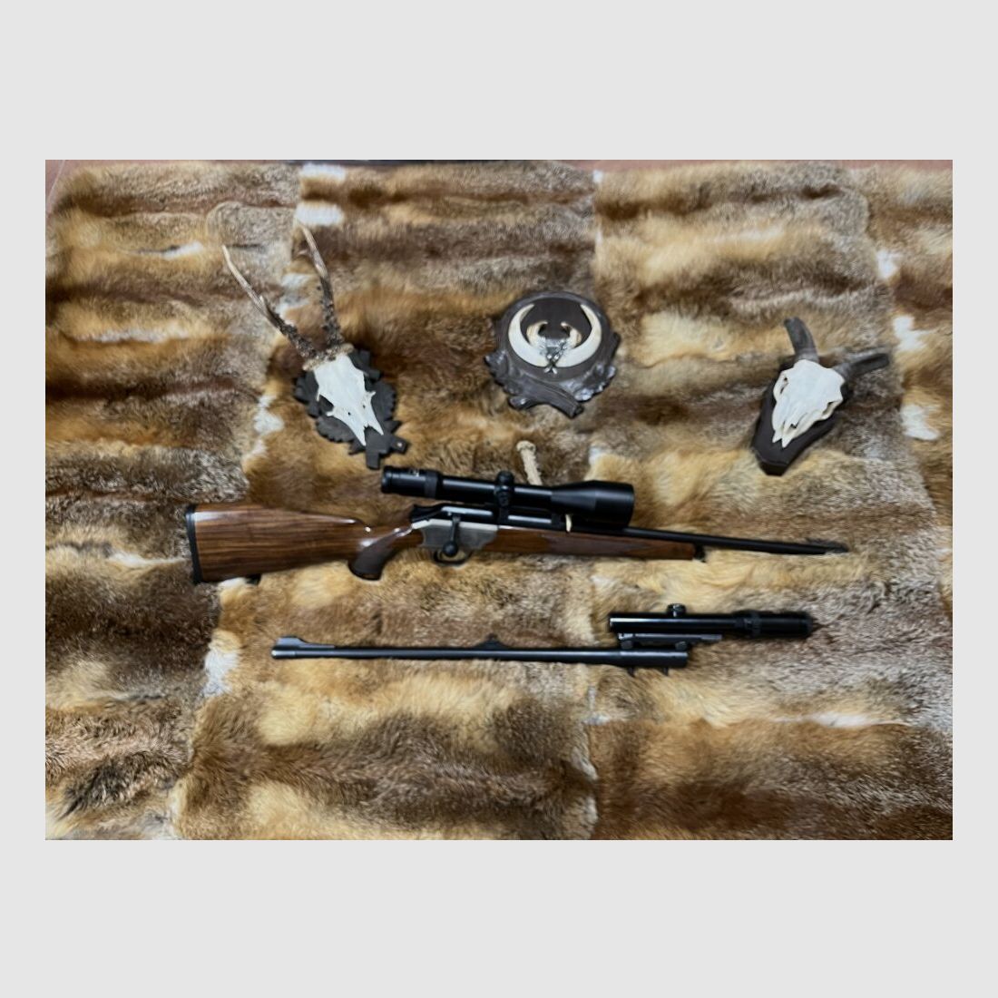 Blaser R93