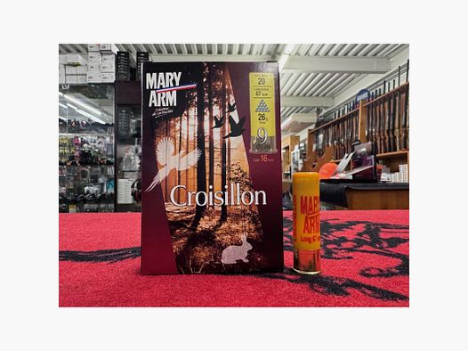 Mary Arm Croisillon 20x67 26g (x10)