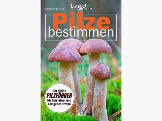 Pilze bestimmen - Kleiner Pilzführer für Einsteiger und Fortgeschrittene - 120 Seiten - Softcover