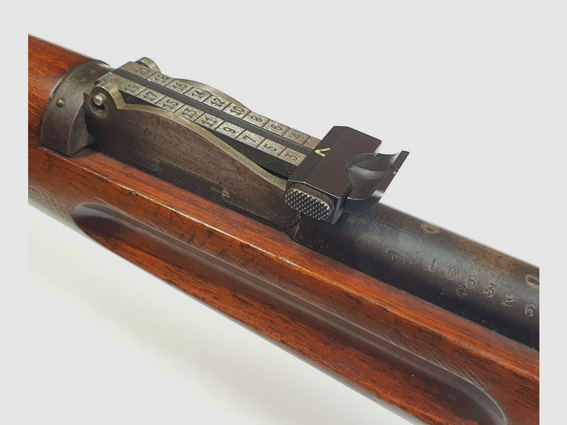 Fabbrica d'armi Bern Fucile a colpo singolo, Fabbrica d'armi Bern Fucile d'infanteria 1889, Cal. 22L.r.