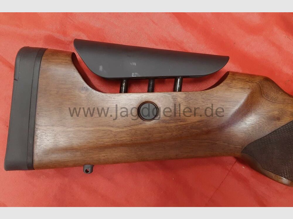 BRENNER BR20 Cal. 30-06 avec lunette 2-12x50 LP .30-06Spring
