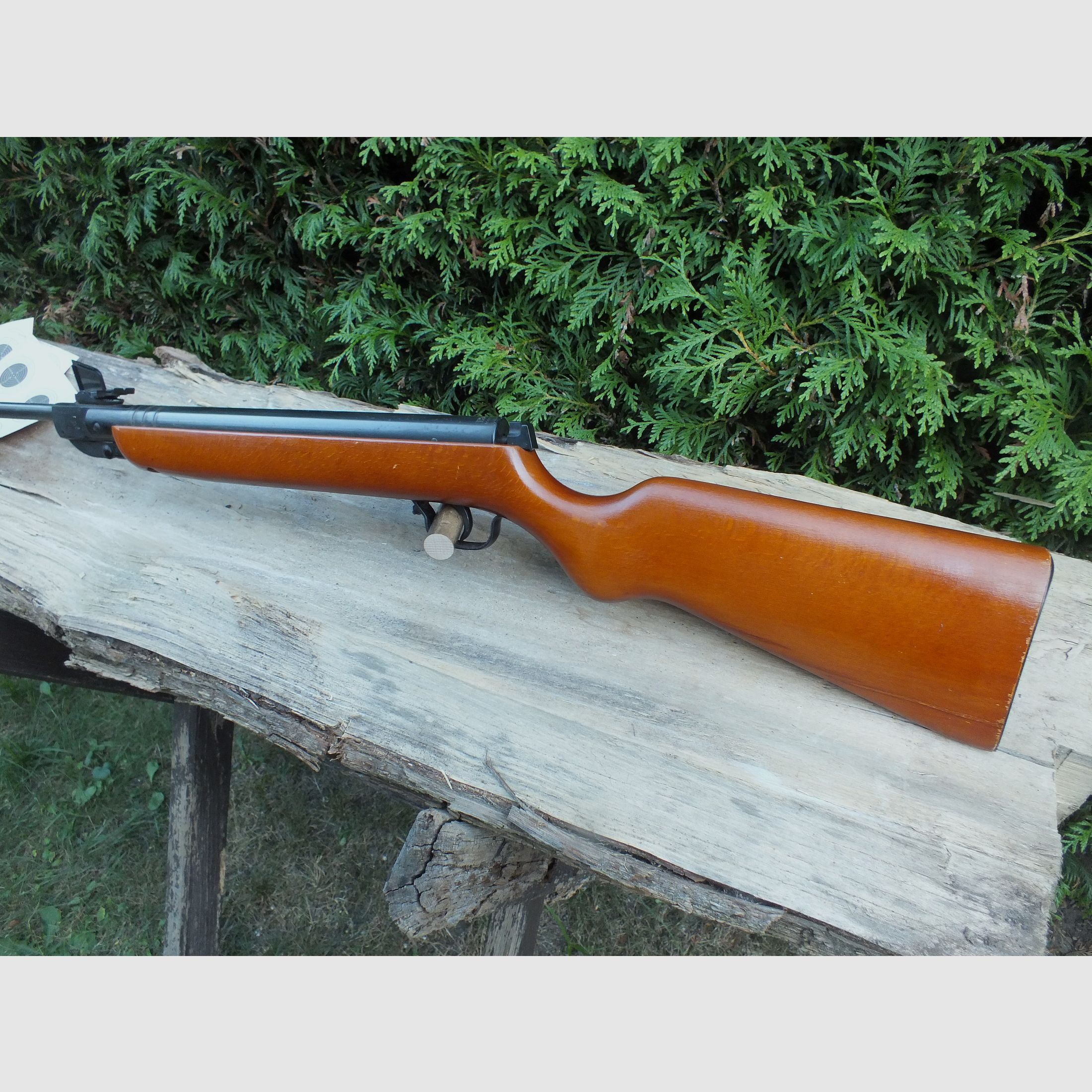 Carabine à air comprimé DDR Haenel 303- 5, Suhl.