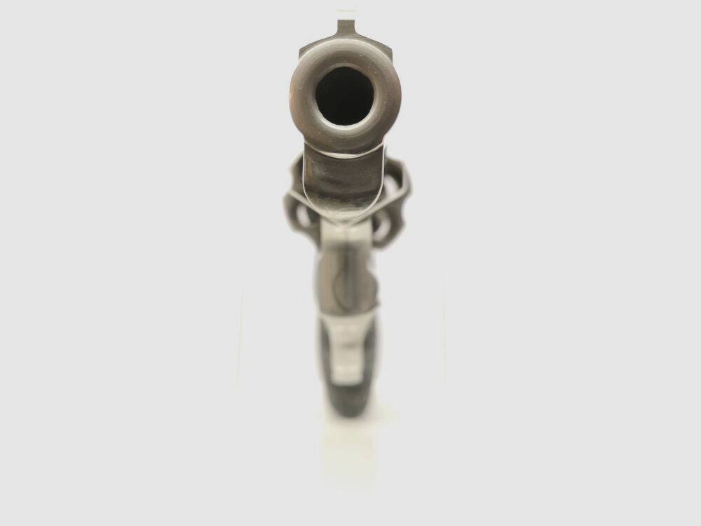 Taurus 606