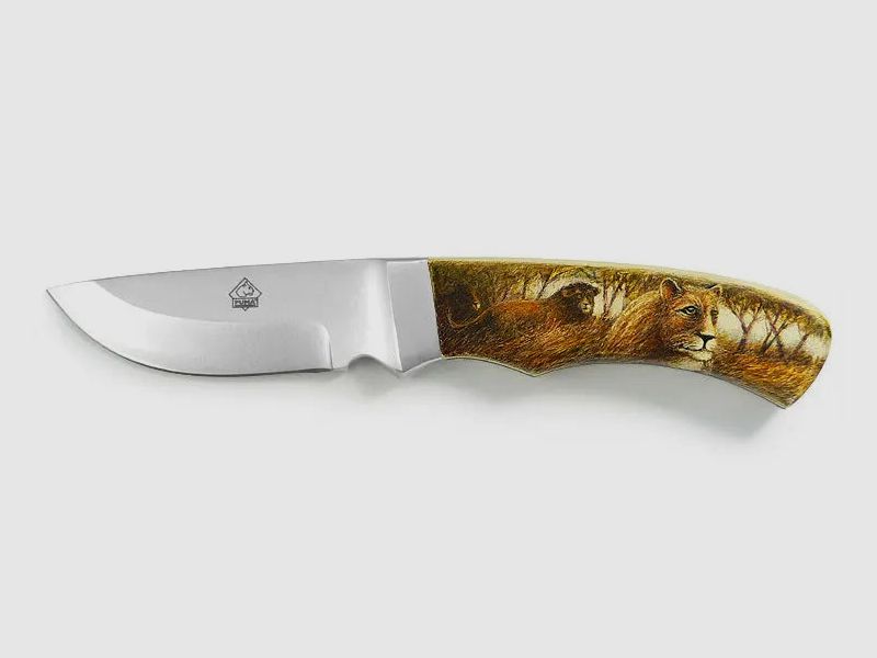 PUMA Lions and Cape Buffalos Unique