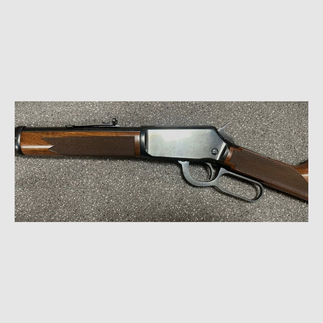 Winchester, New Haven, Con. 9422