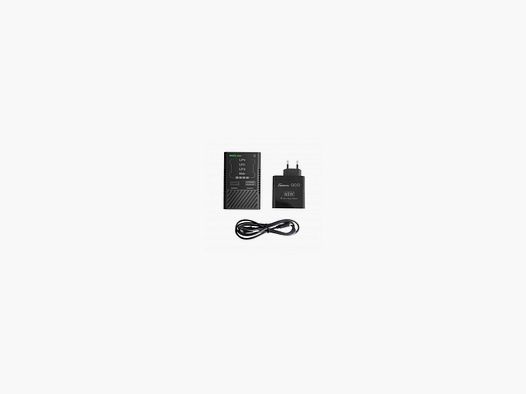 Chargeur de batterie LiPo / LiFe / NiMh