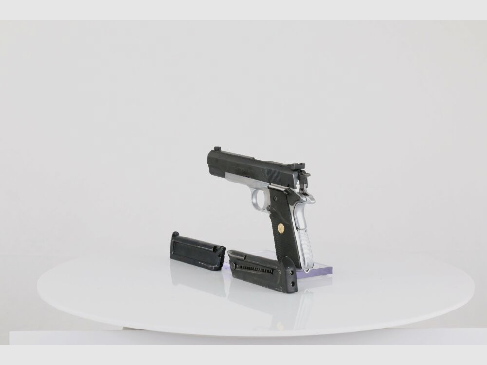 Colt ACE