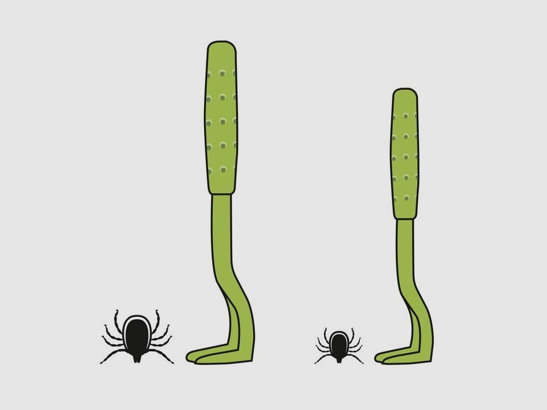 Hunter Tick Hooks Ajka 2-Piece Set