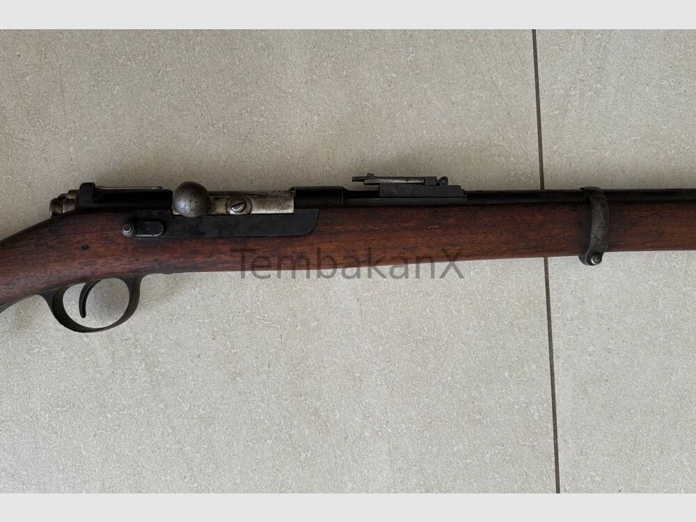OE.W.F.G. Steyr M1886 8mmRothSteyr