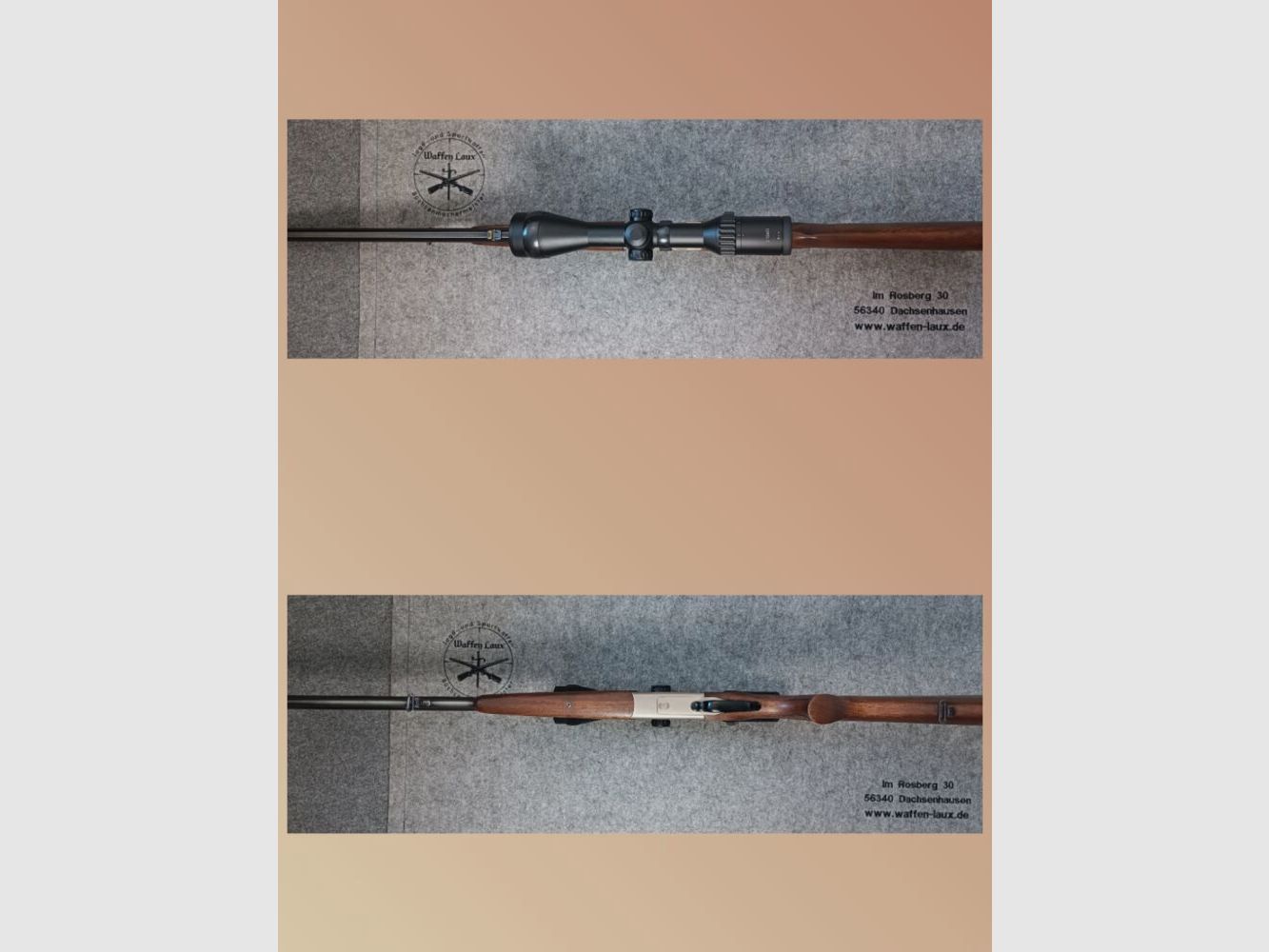 Blaser ES 80 mit Zielfernrohr Capra 2-12x50 Leuchtpunkt