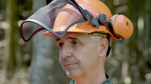 Motorsäge schärfen im Wald | Waldschärfung - Tutorial der Bayerischen Staatsforsten