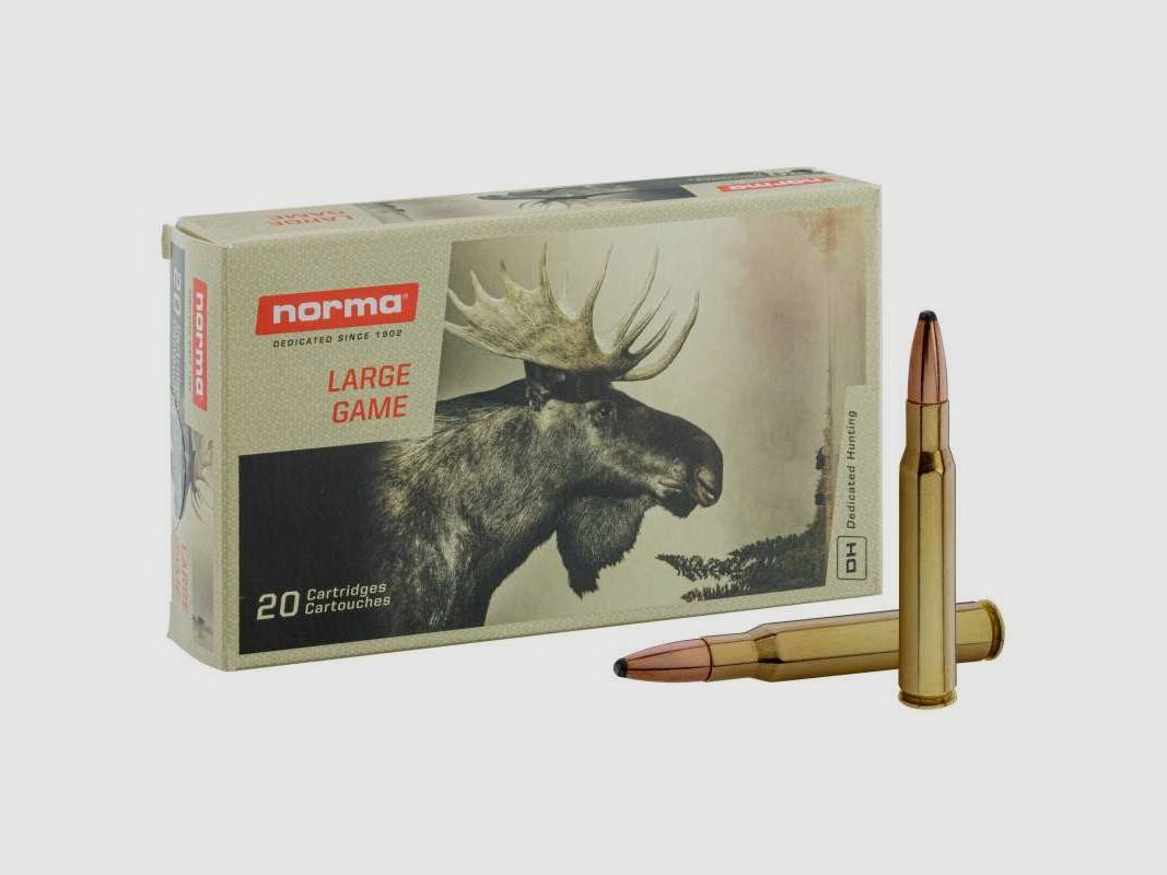 .30-06 Springfield Oryx - .30-06 SPRG Oryx 180 gr / 11,7 g, Bild 1 von 7