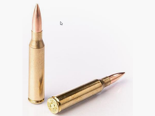 Fiocchi .338 Lapua Magnum Solid 240gr