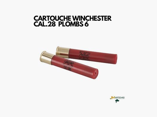 CARTOUCHE WINCHESTER SUPER X CAL.28