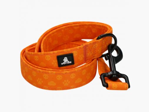 Spotted! Pro Guinzaglio Arancione |