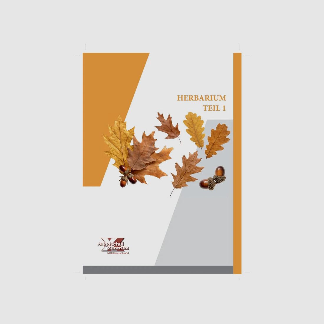 Herbarium Teil 1