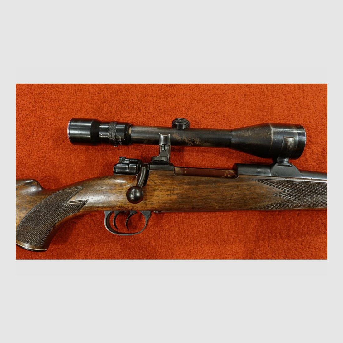 Forest Favorit ohne 7x64