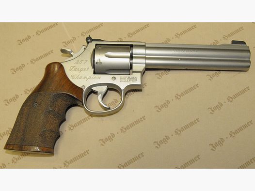 Smith & Wesson 686 Target Champion