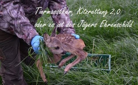 Tiermassaker, Kitzrettung 2.0 oder es ist des Jägers Ehrenschild