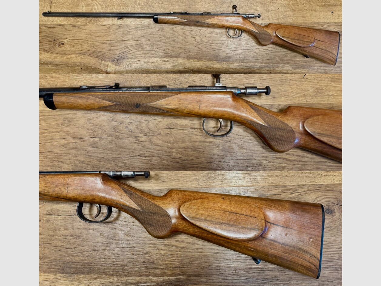Anschutz Flobert rifle