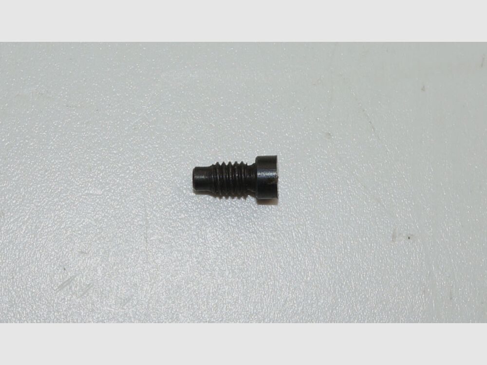 Fábrica de armas de Berna Tornillo de seguridad usado para tornillo de tapa para revólver de ordenanza suizo 1882