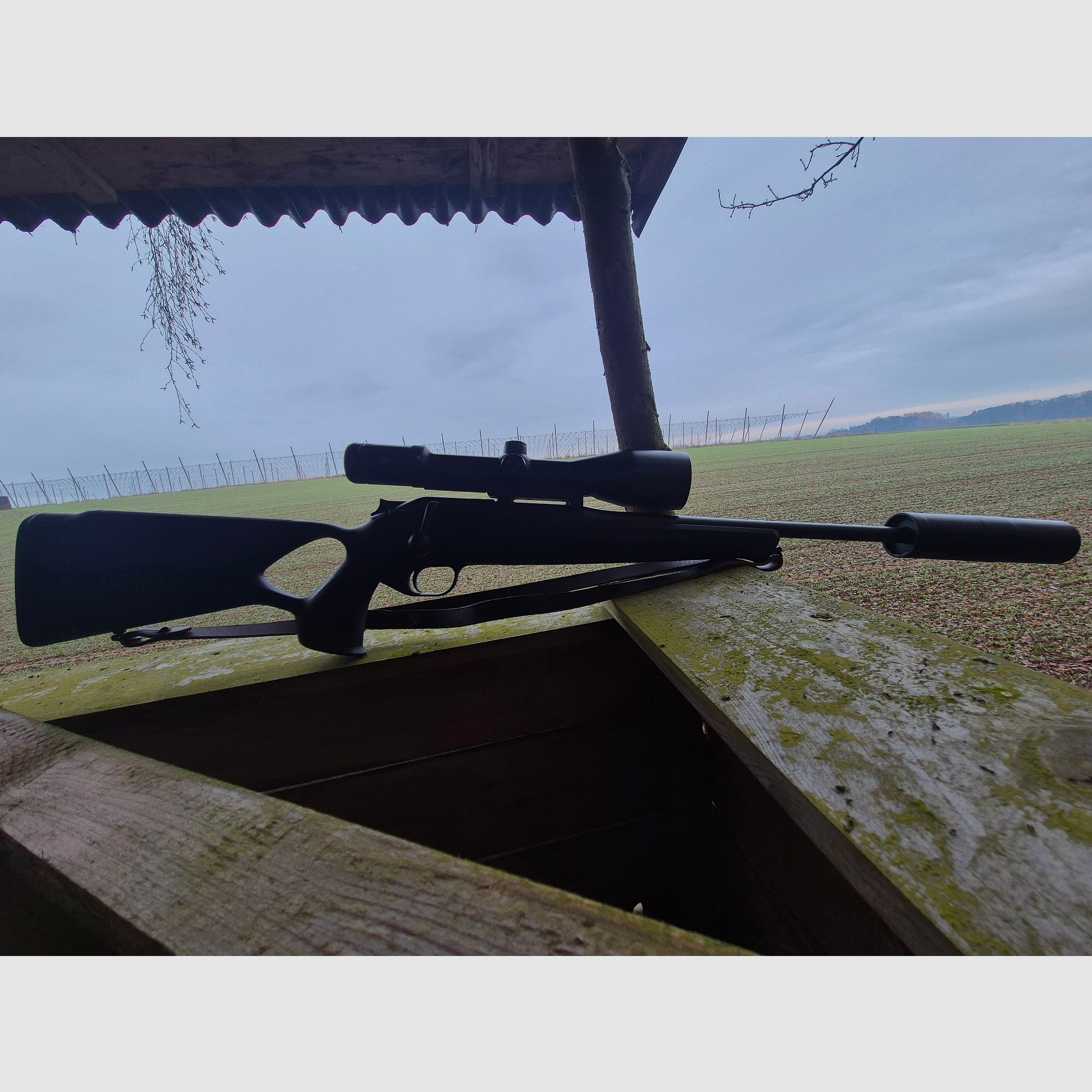 Blaser R8 Professional Success