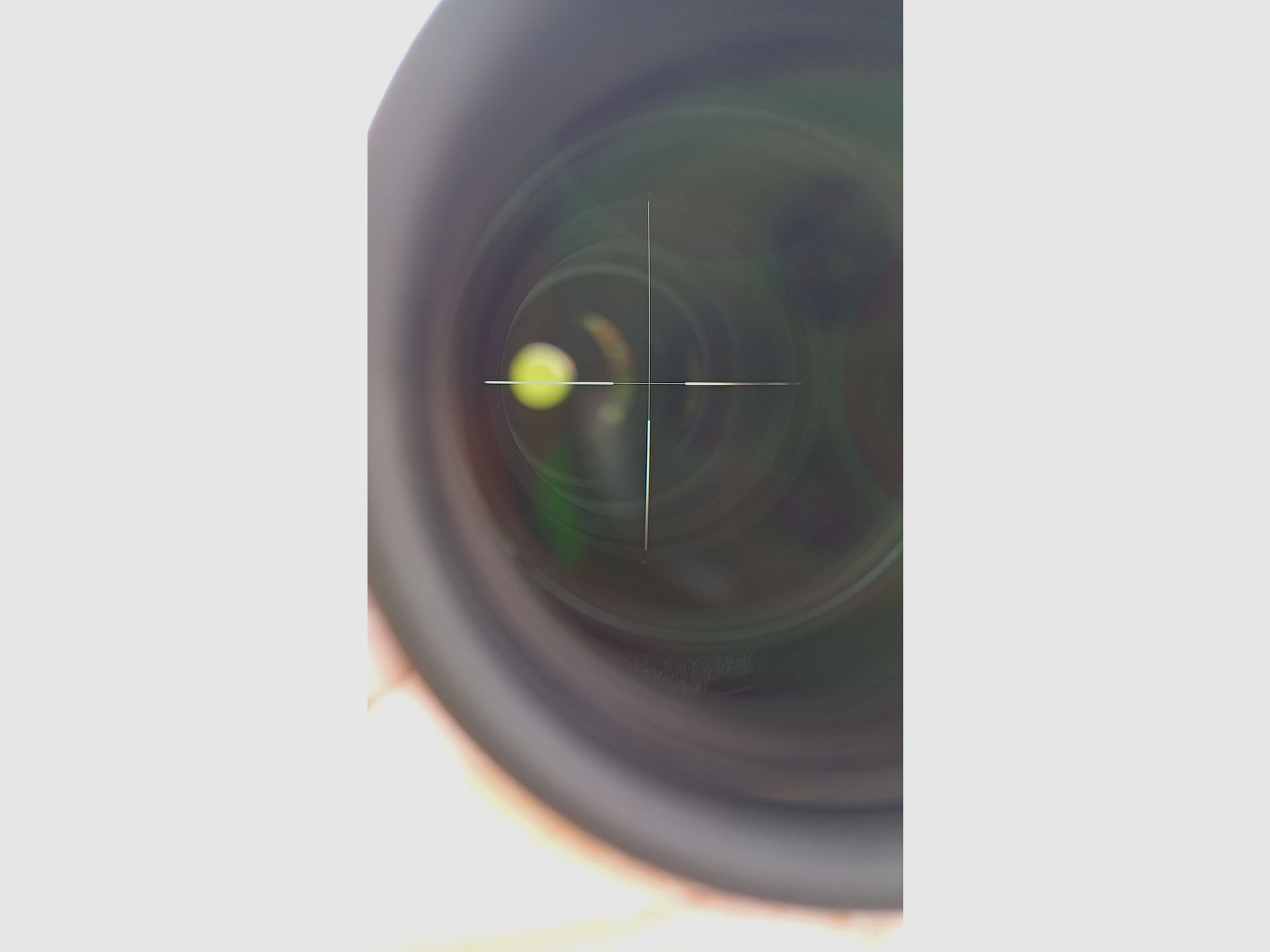 swarovski Z6I scope