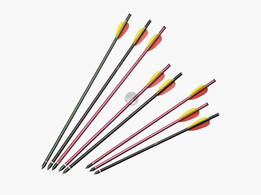 Strzały do kuszy | X-BOW ECO - Aluminium - 20 cali | 2219 | Kolor: czarny