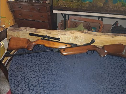 2 LG 55 von Wahlter Zwei sehr