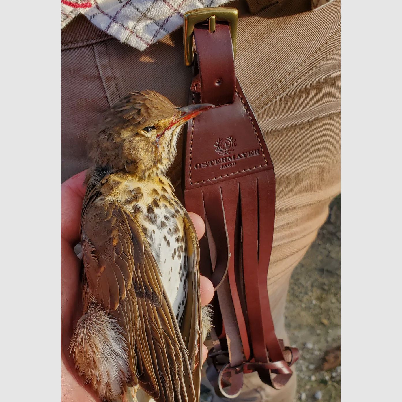 Federwildgalgen / Ostermayer Jagd