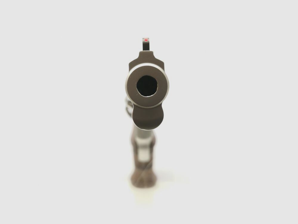 Smith & Wesson 686-6 Target Champion - v. Accessories