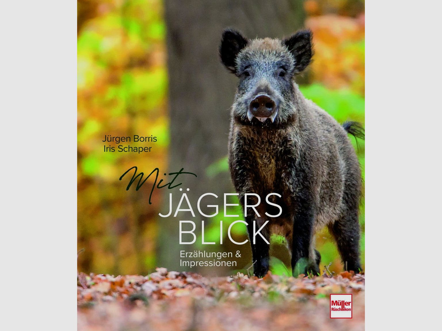 Mit Jägers Blick: Erzählungen und Impressionen