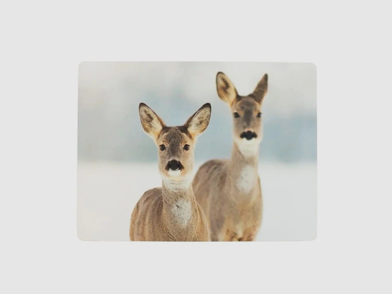 LivingActive Tischset 2 Rehe 30x40 cm - 4 Stk.