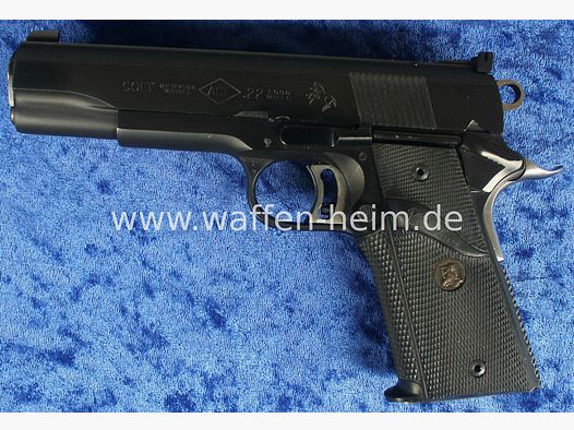 Colt ACE