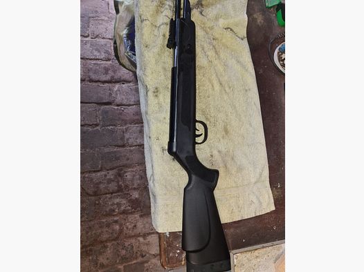 GsG WF600P