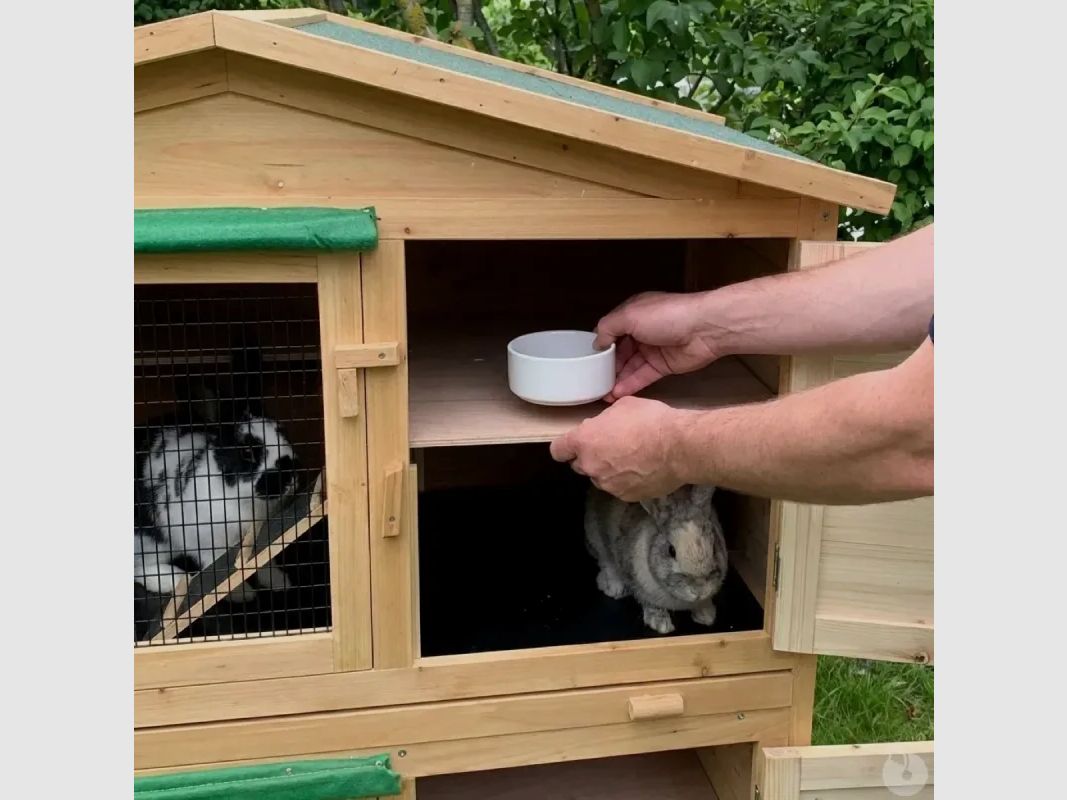 Unterkunft für Nagetiere WOHNUNG 2 Zonen 118 X 61 X 130 cm, Bild 6 von 8