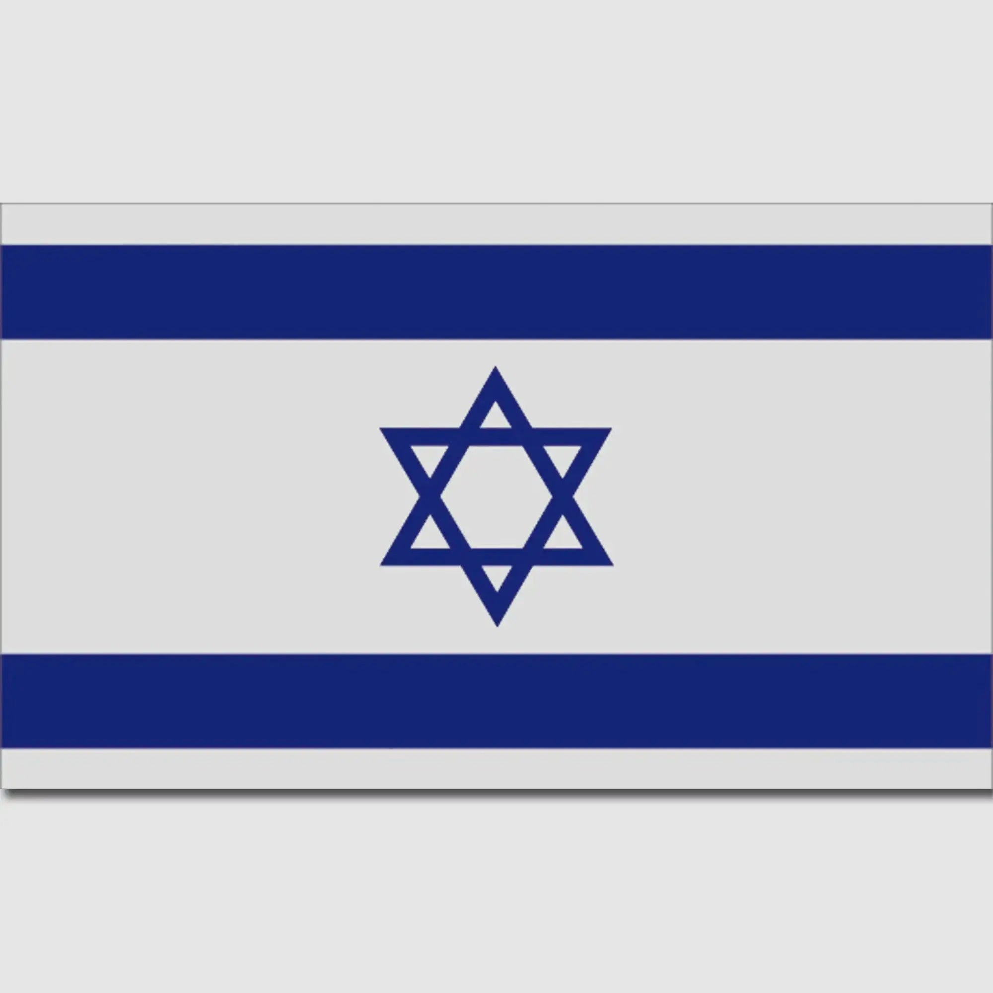 Diverse Mil-Tec Flagge Israel
