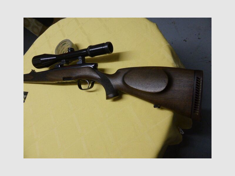 Steyr Mannlicher	 Modell S