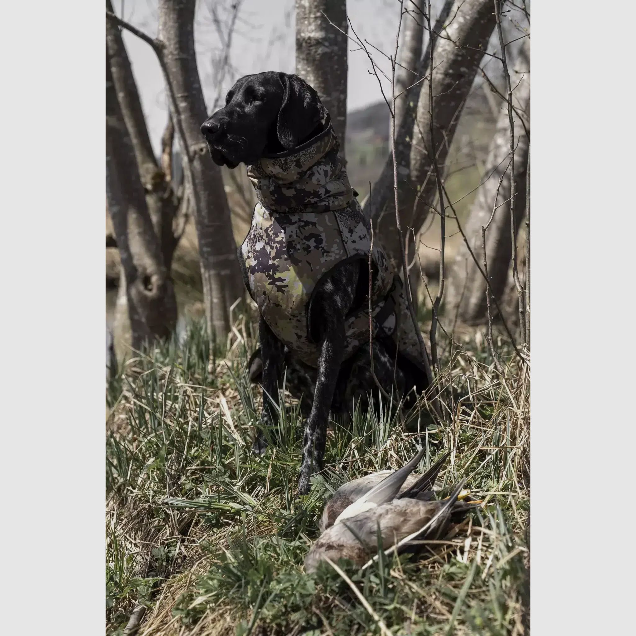 Blaser Hundeponcho HunTec Camo