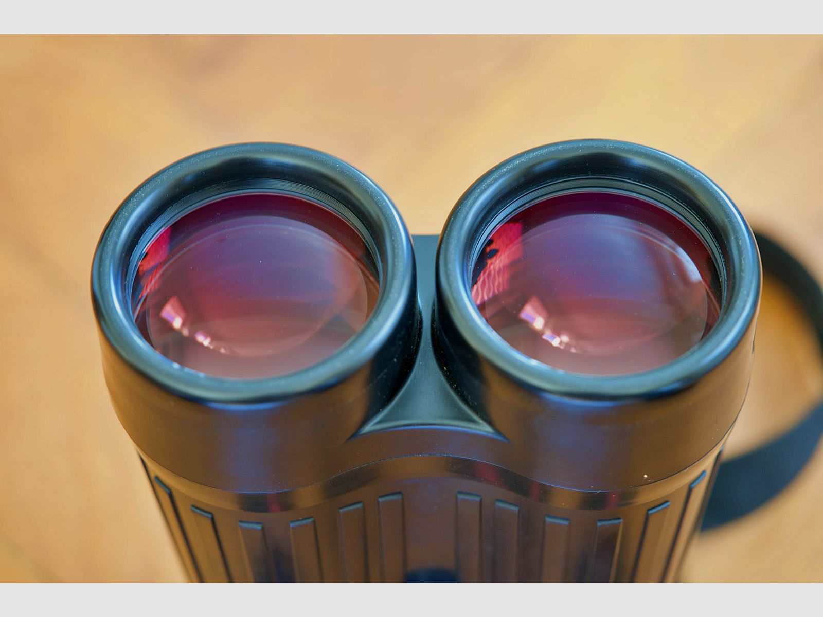 Zeiss 20 x 60 S