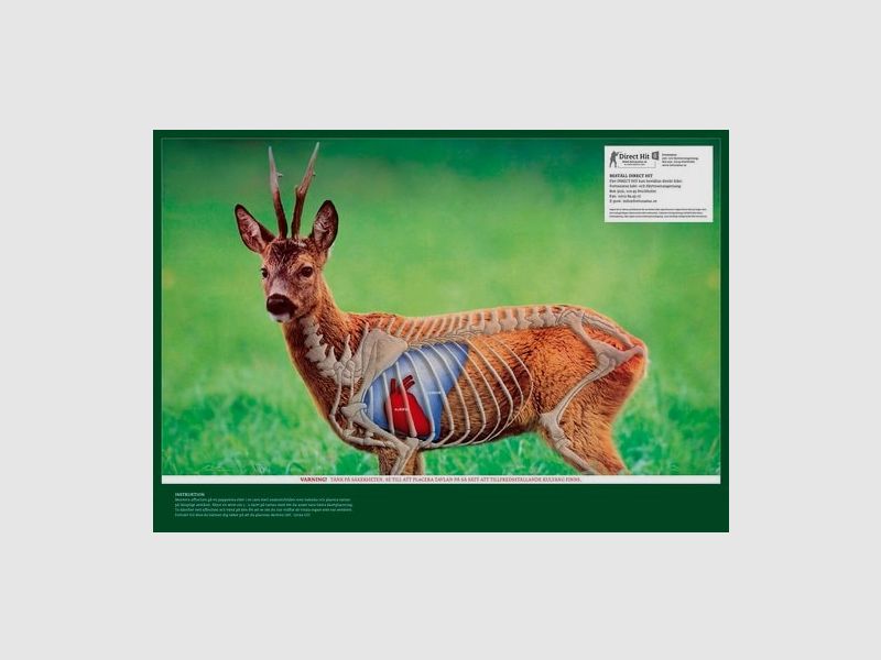 5etta Direct Hit Deer 4-Pack incluso tappi di copertura