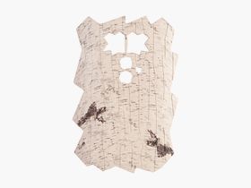 Minox DTC 460 Trail Camera Front Cover Birch