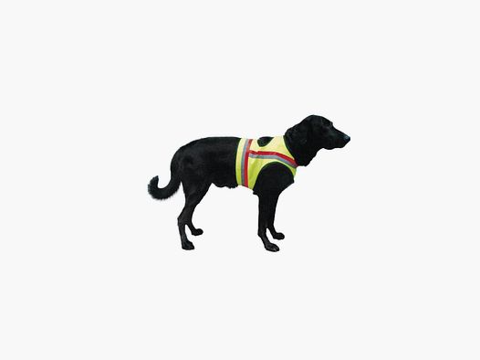 Gilet de sécurité pour chien sans poche