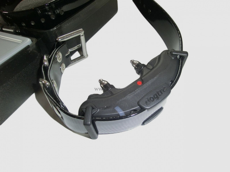 DOGTRA Hundeferntrainer / Teletakt ARC802 für 2 HUNDE NEUWARE