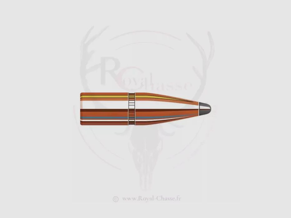 100 ogives Cal.30 D.308 180Grs INTERLOCK SP HORNADY