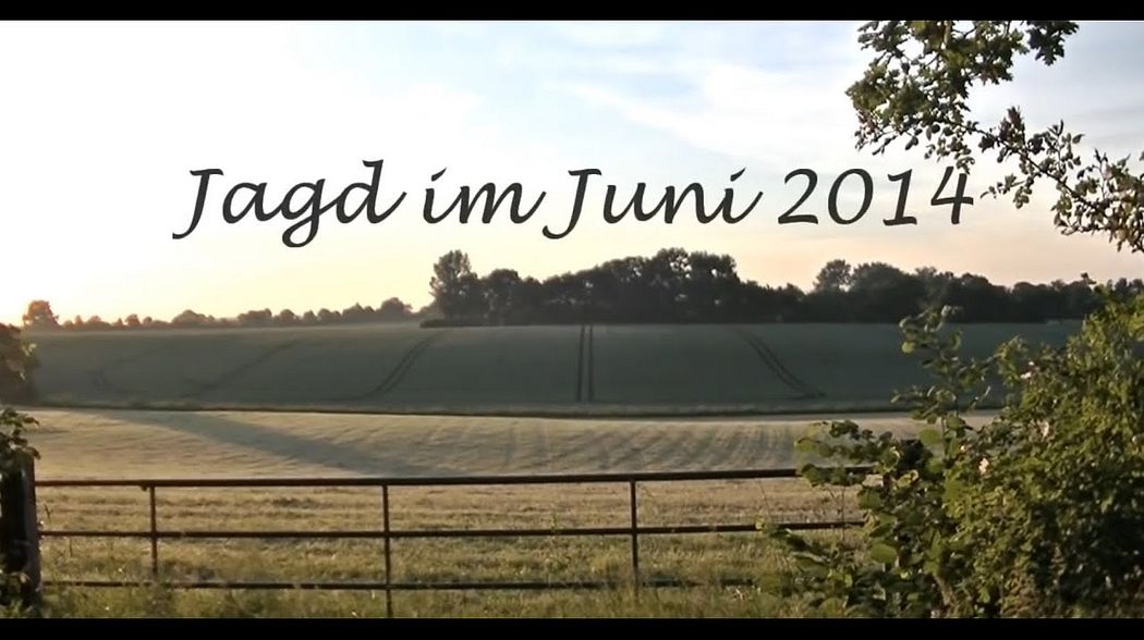 Jagd Juni 2014