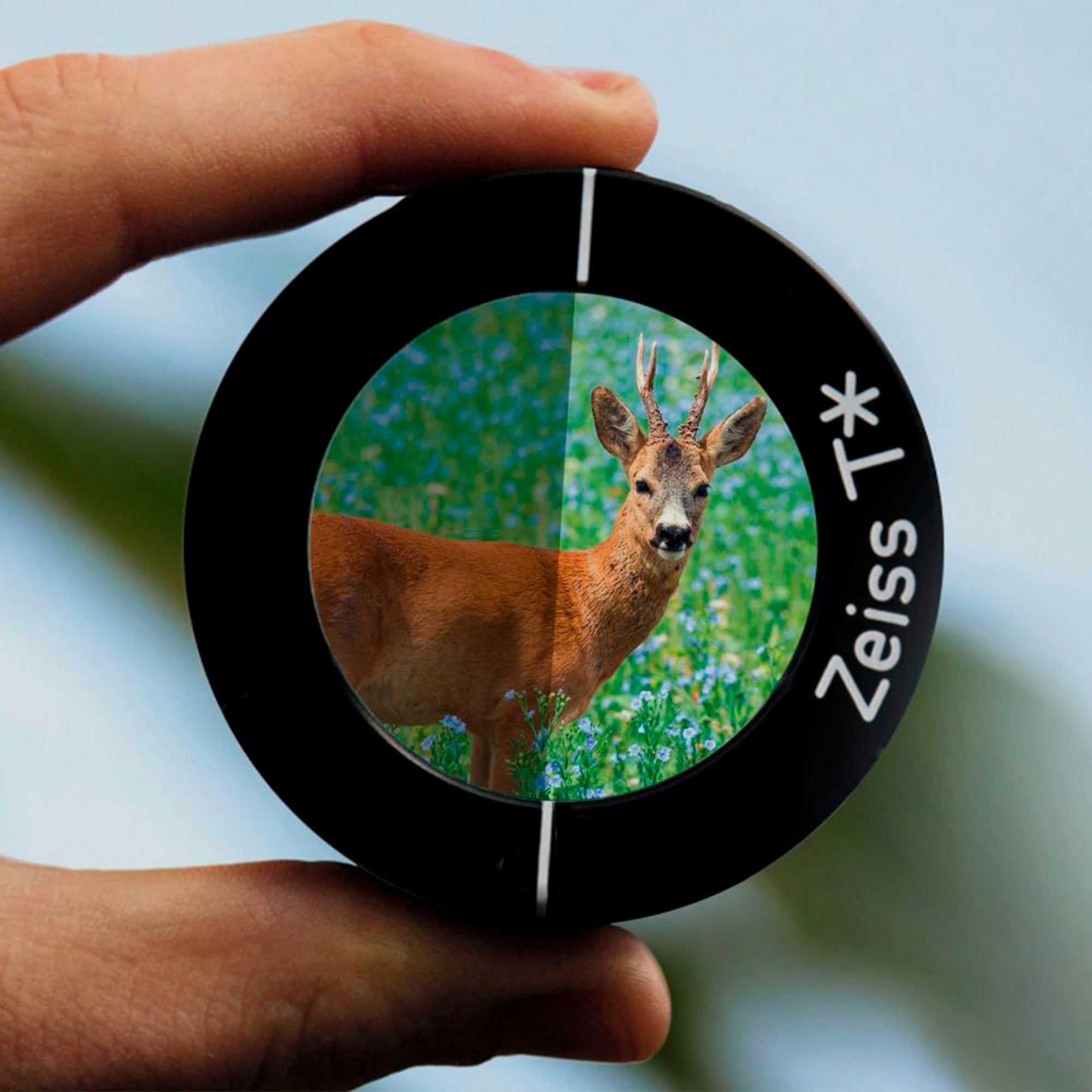 Zeiss Dialyt 18–45×65 Spektiv, Bild 4 von 9